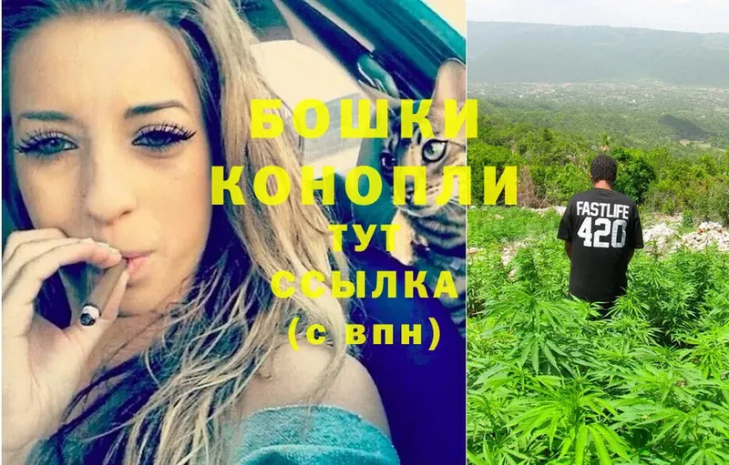 МАРИХУАНА SATIVA & INDICA  как найти   Нарткала 